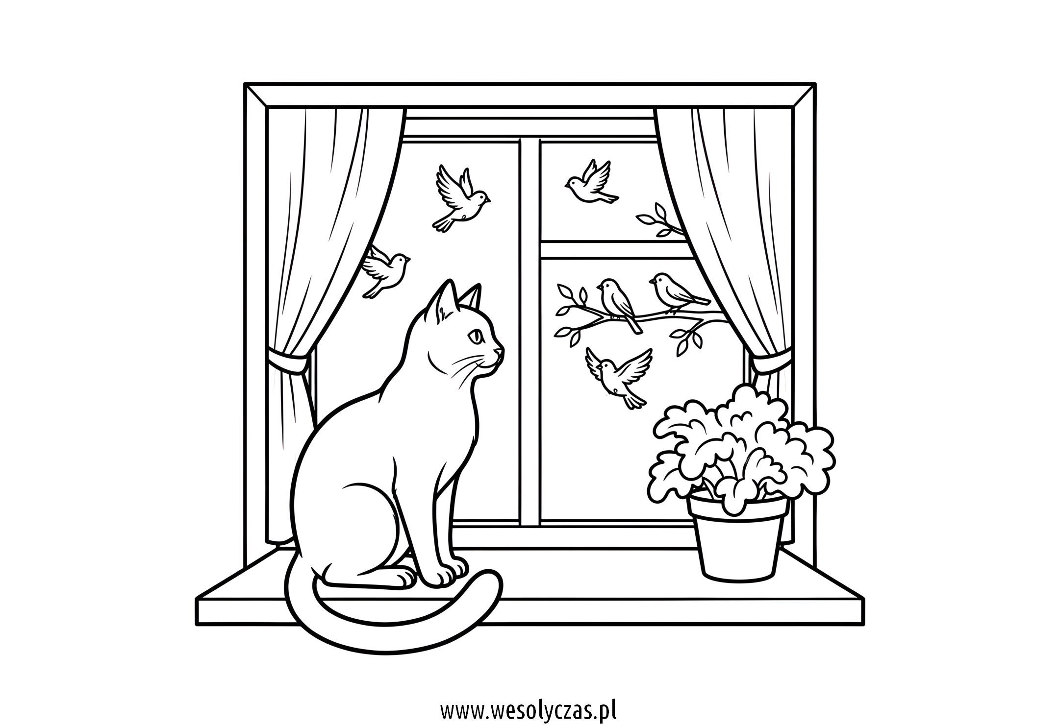 kot w oknie, parapet